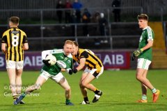 Healy-Park-with-moon